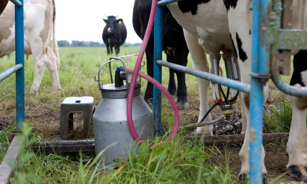 Juditos Grigelytės (VŽ) nuotr. 