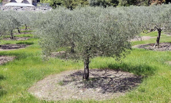 Gilleso Paire'o („Scanpix“) nuotr.