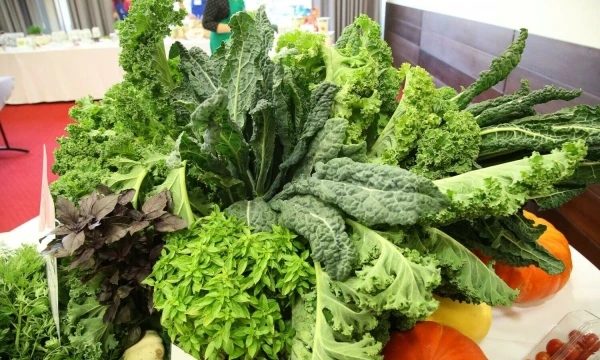 Vladimiro Ivanovo (VŽ) nuotr.