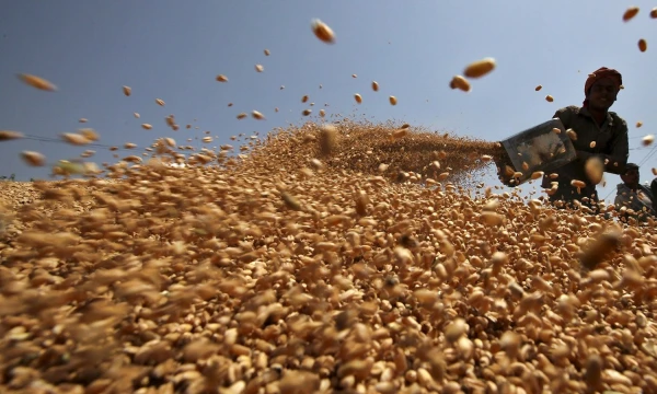 Ajay Verma („Reuters“ / „Scanpix“) nuotr.