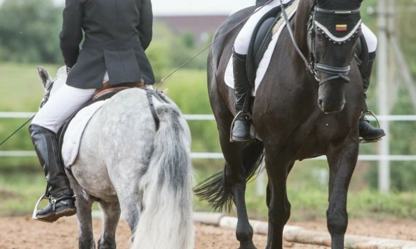 Juditos Grigelytės (VŽ) nuotr.