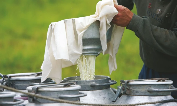  
Juditos Grigelytės (VŽ) nuotr.