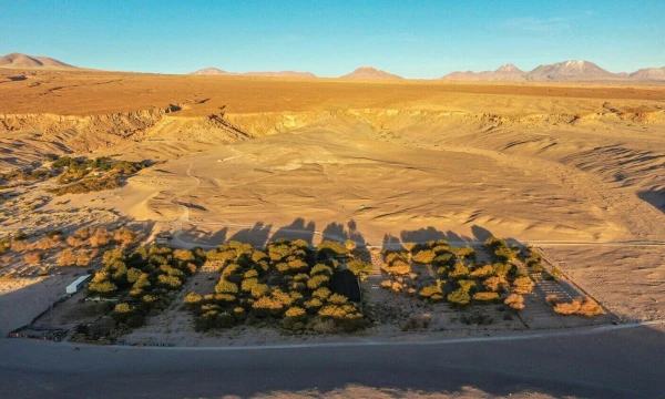 „Chajnantor“, vienas novatoriškiausių vynuogynų Atakamoje. Martino Bernetti / AFP nuotr.