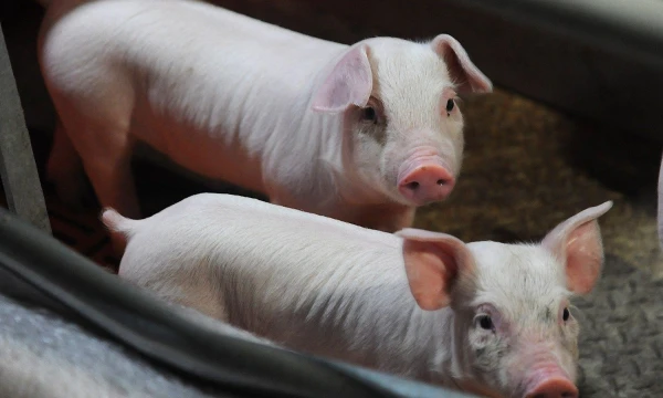 Aleksandro Kondratuko („Ria“/„Scanpix“) nuotr.