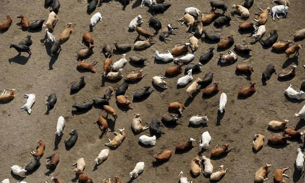 Lucy Nicholson („Reuters“ / „Scanpix“) nuotr.