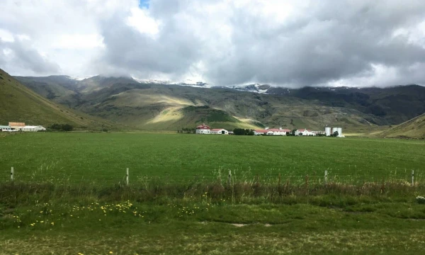 Islandija. Juditos Grigelytės (VŽ) nuotr.