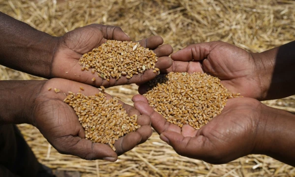 AP / „Scanpix“ nuotr.