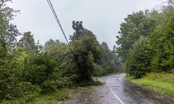 Luko Balandžio (BNS) nuotr.