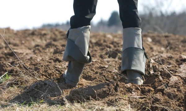 Juditos Grigelytės (VŽ) nuotr.