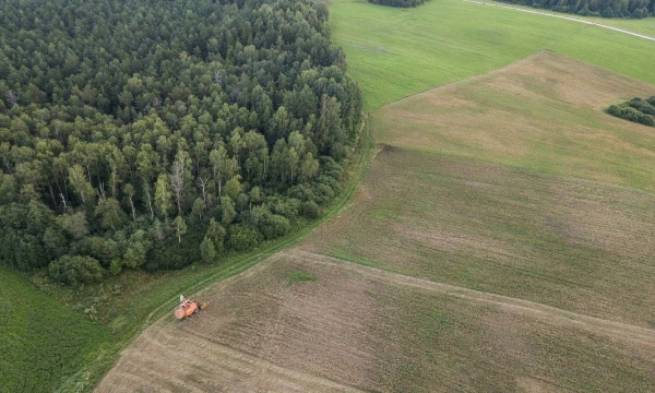 Vladimiro Ivanovo (VŽ) nuotr.