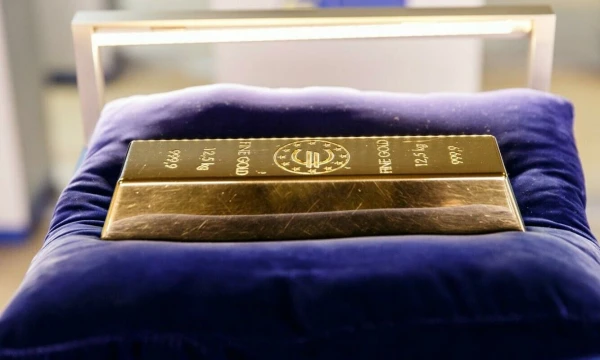 Vladimiro Ivanovo (VŽ) nuotr.