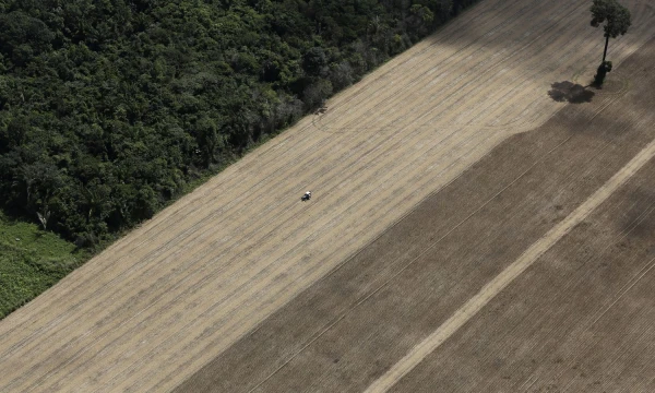 Nacho Doce (Reuters / Scanpix) nuotr.