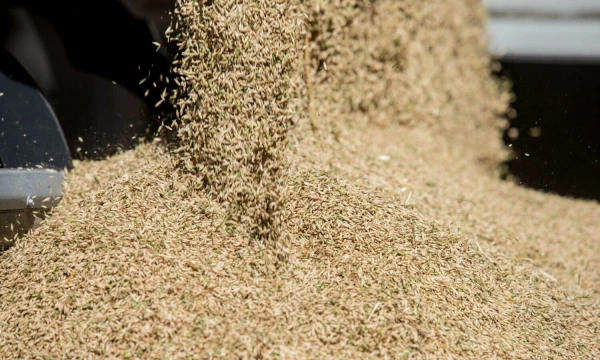 Juditos Grigelytės (VŽ) nuotr.