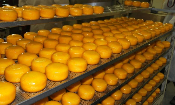 Arūno Milašiaus nuotr.