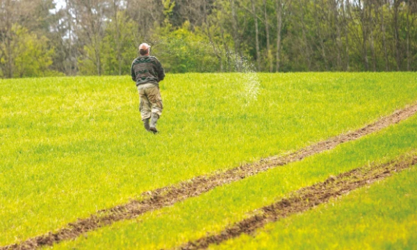 Nekvalifikuotų žmonių įdarbinimą smarkiai palengvino paslaugų kvitai.
Juditos grigelytės (VŽ) nuotr.