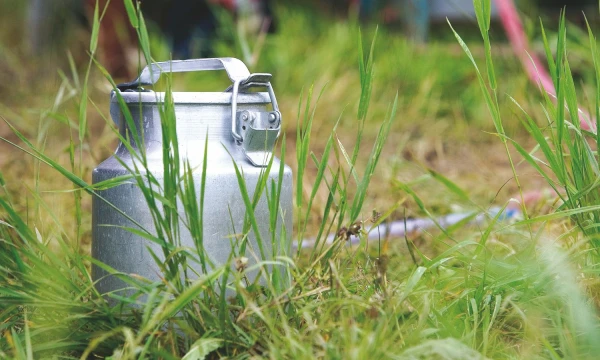 ŽŪM skaičiuoja, kad ūkininkų įmokos į fondą turėtų siekti apie 3 Eur nuo parduotos pieno tonos. Juditos Grigelytės (VŽ) nuotr.