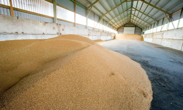 Vladimiro Ivanovo (VŽ) nuotr.