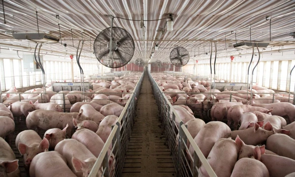 Daniel Acker („Reuters“ / „Scanpix“) nuotr.