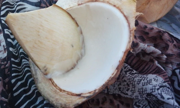 Pauliaus Čiulados nuotr.