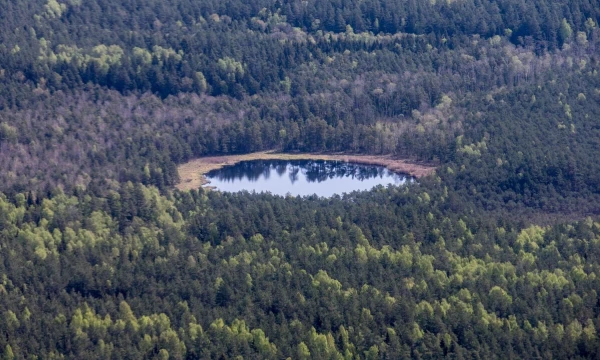 Juditos Grigelytės (VŽ) nuotr.