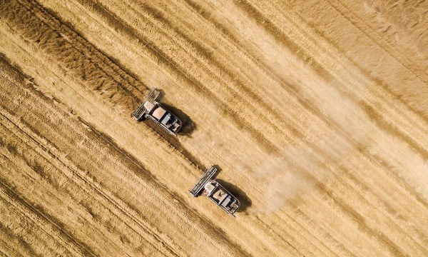 Vitalijaus Timkivo („Sputnik“ / „Scanpix“) nuotr.