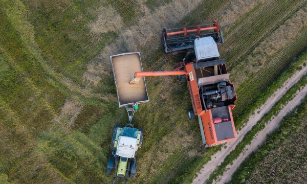 Vladimiro Ivanovo (VŽ) nuotr.