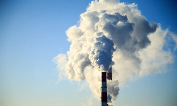 Vladimiro Ivanovo (VŽ) nuotr. 