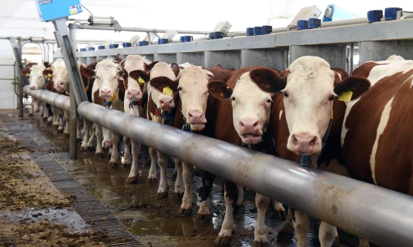 „Stringer“ / „Sputnik“ nuotr.