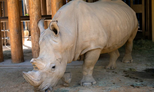 „Scanpix“ nuotr.