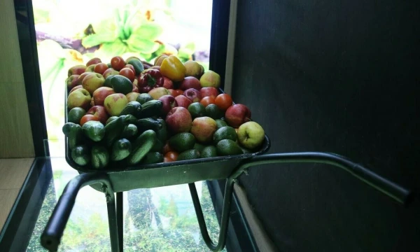 Vladimiro Ivanovo (VŽ) nuotr.