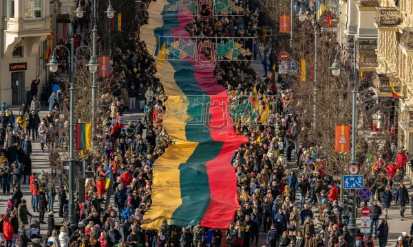 Kovo 11-oji. Sauliaus Žiūros nuotr.