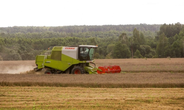 Vladimiro Ivanovo (VŽ) nuotr.