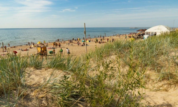 Algimanto Kalvaičio nuotr.