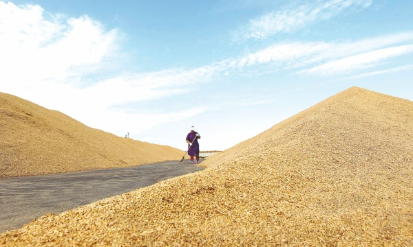 Kai kuriuose pasaulio regionuose ūkininkai jau nebeturi kur laikyti kviečių atsargų.  Vasily Fedosenko („Reuters“/„Scanpix“) nuotr.
