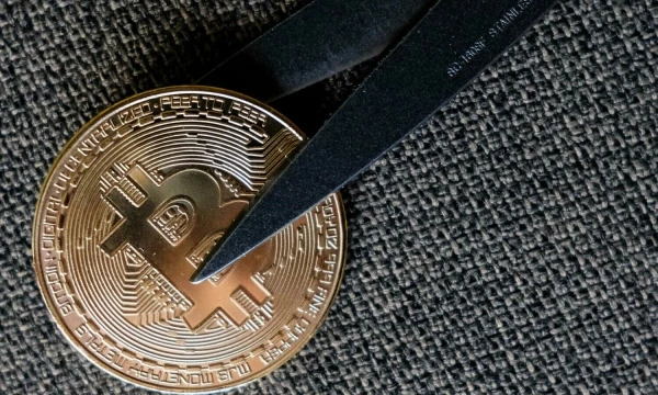 Vladimiro Ivanovo (VŽ) nuotr.