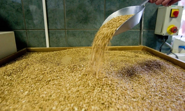 Juditos Grigelytės (VŽ) nuotr.