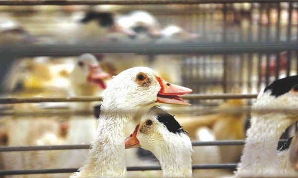 „Reuters“ / „Scanpix“ nuotr.
