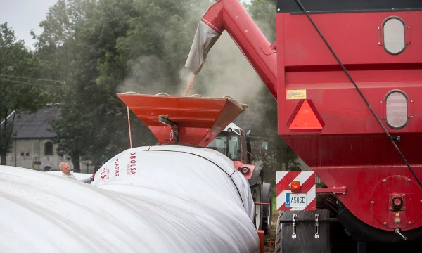 Juditos Grigelytės (VŽ) nuotr.