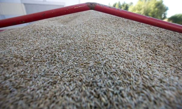 Juditos Grigelytės (VŽ) nuotr.