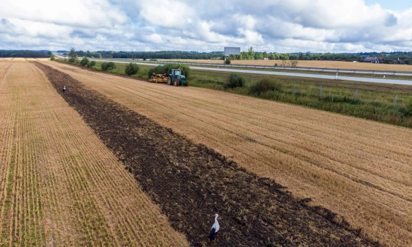 Vladimiro Ivanovo (VŽ) nuotr.
