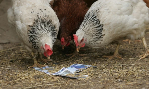 Juditos Grigelytės (VŽ) nuotr.