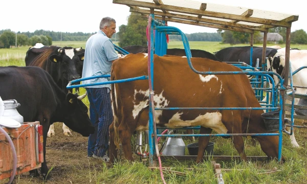 Juditos Grigelytės (VŽ) nuotr.