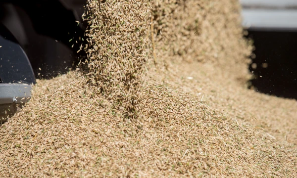 Juditos Grigelytės (VŽ) nuotr.