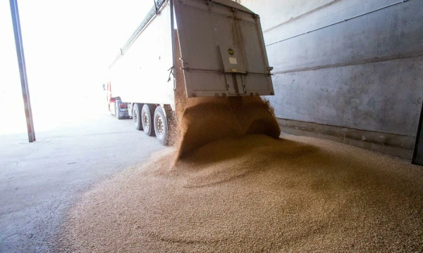 Vladimiro Ivanovo (VŽ) nuotr.