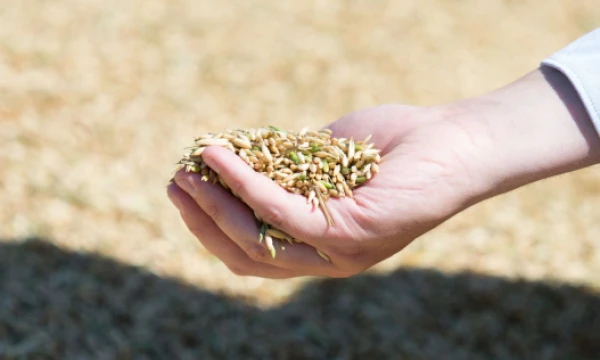 Juditos Grigelytės (VŽ) nuotr.