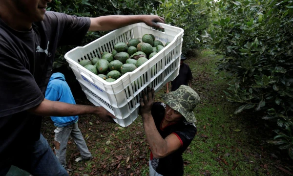 Alano Ortegos („Reuters“ / „Scanpix“) nuotr.
