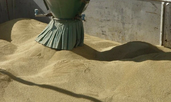 Algimanto Kalvaičio nuotr.