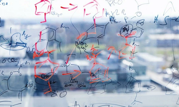 Vladimiro Ivanovo (VŽ) nuotr.