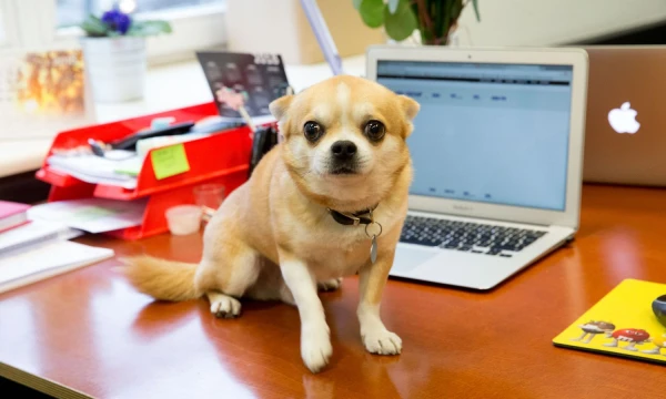  Juditos Grigelytės (VŽ) nuotr.