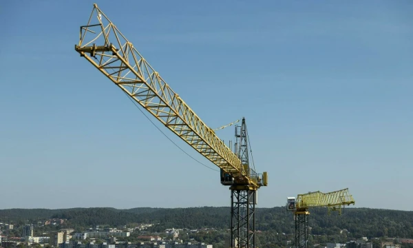 Vladimiro Ivanovo (VŽ) nuotr.